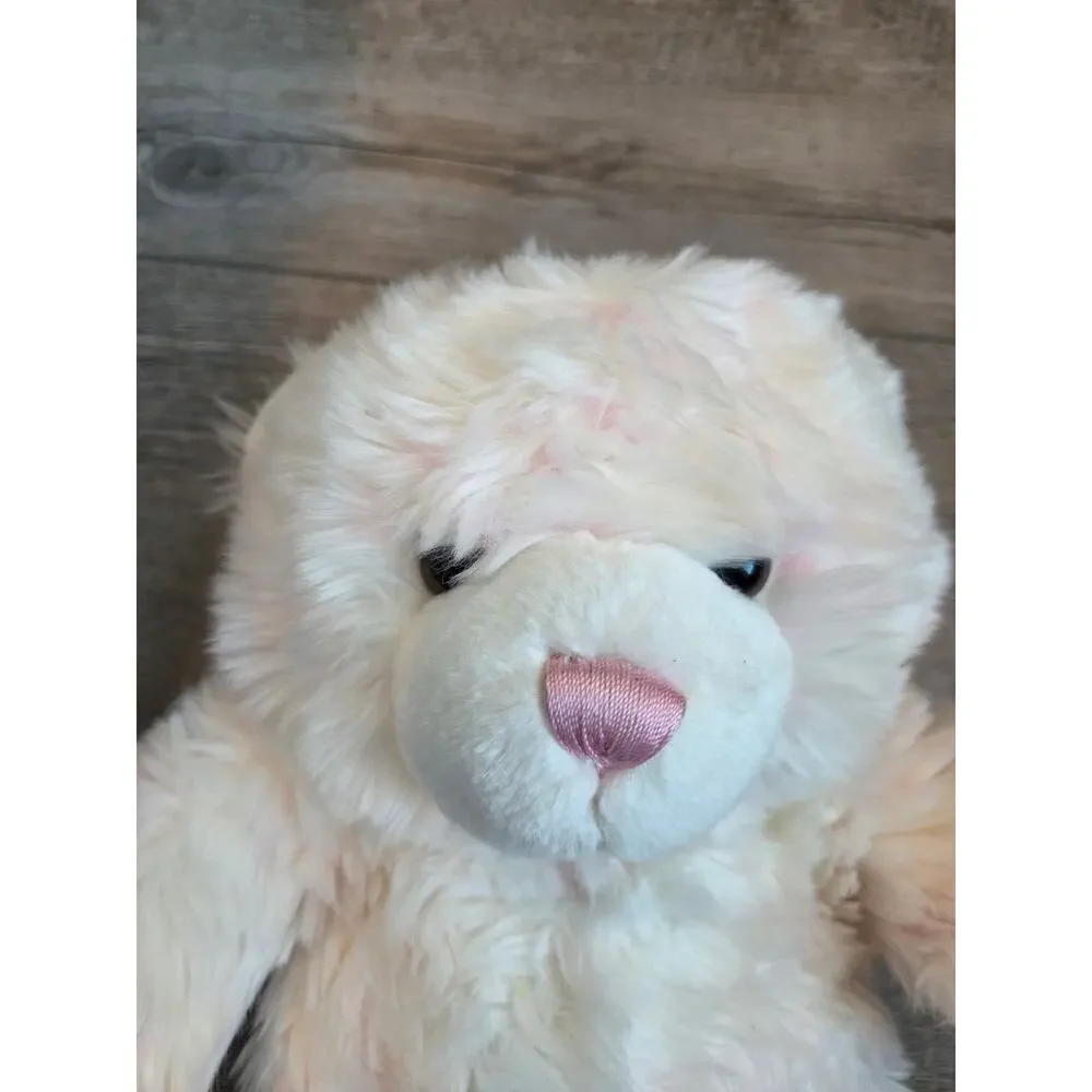 Build-A-Bear bring home